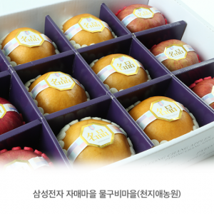 맛있는사과,(예약상품) 천지애사과.배 명품선물세트(6kg 사과6,배6과)