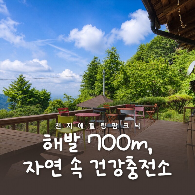 맛있는사과,천지애건강충전소/천지애농원 수확체험
